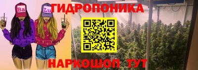 гашик Заволжье