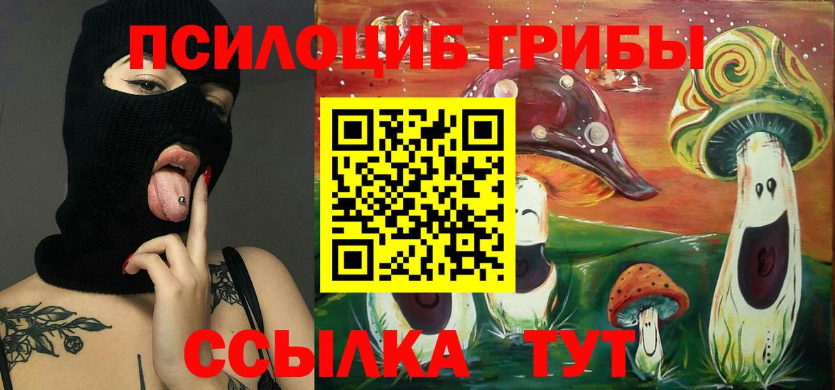 Псилоцибиновые грибы мицелий Горячий Ключ